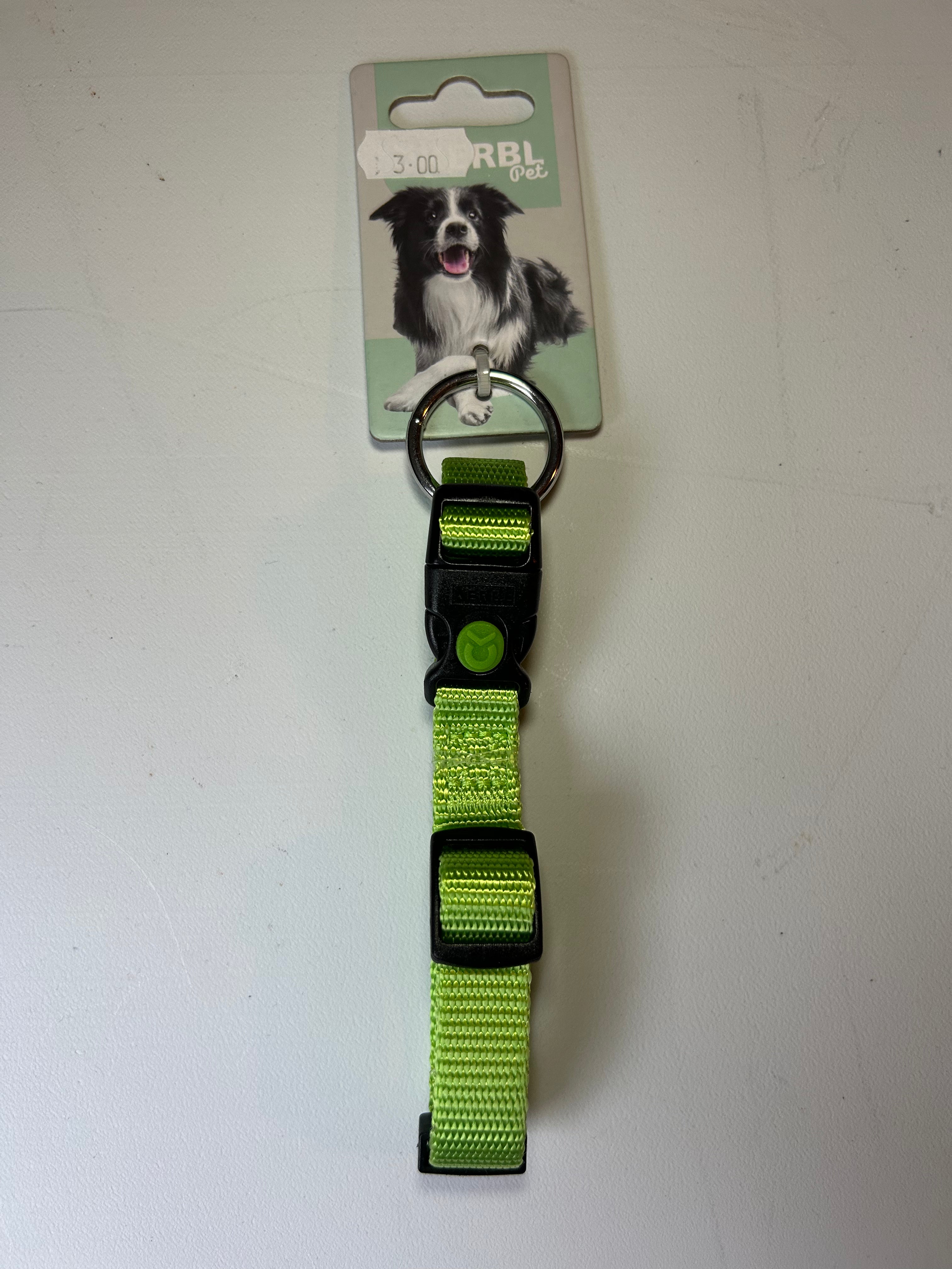 Collier pour chien vert